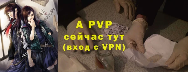 скорость Богданович