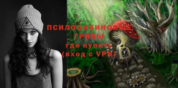 скорость Богданович
