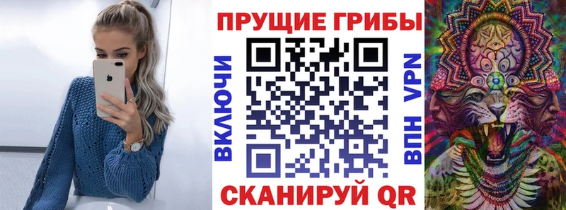 Псилоцибиновые грибы Psilocybine cubensis  купить закладку  ссылка на мегу tor  Вихоревка 